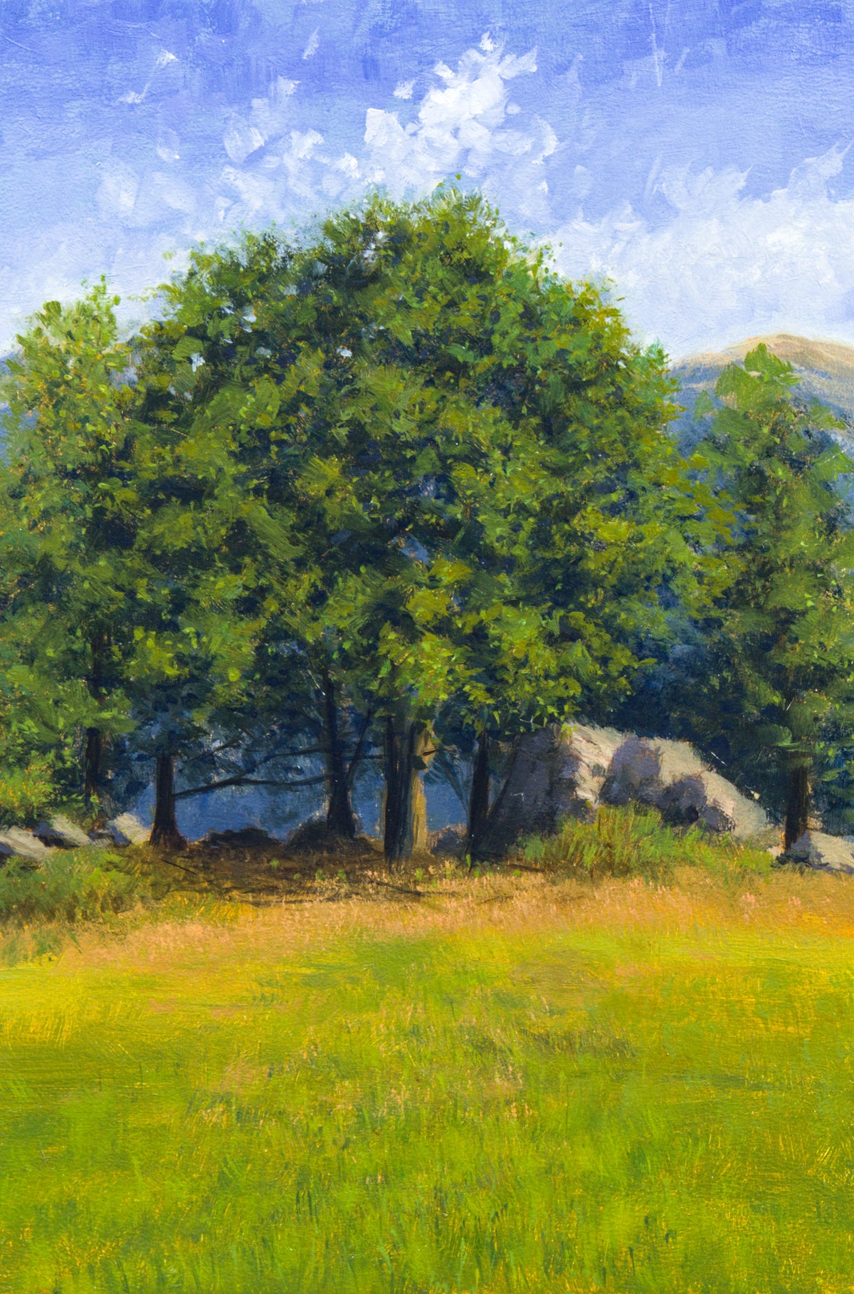 L'arbre de Sinzelles - Huile sur panneau 30x20cm